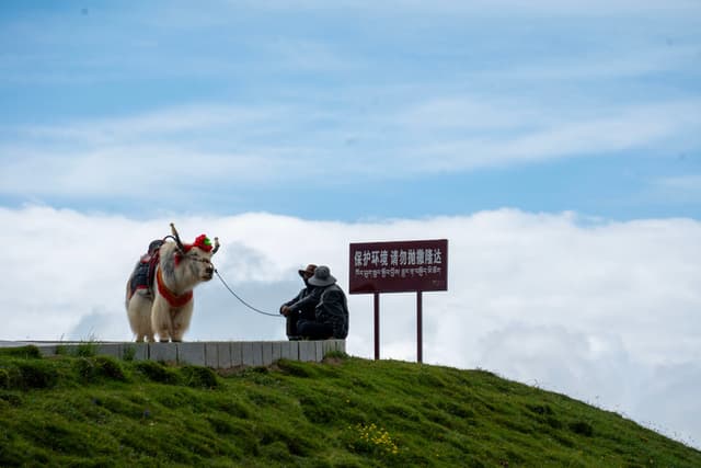 Qinghai