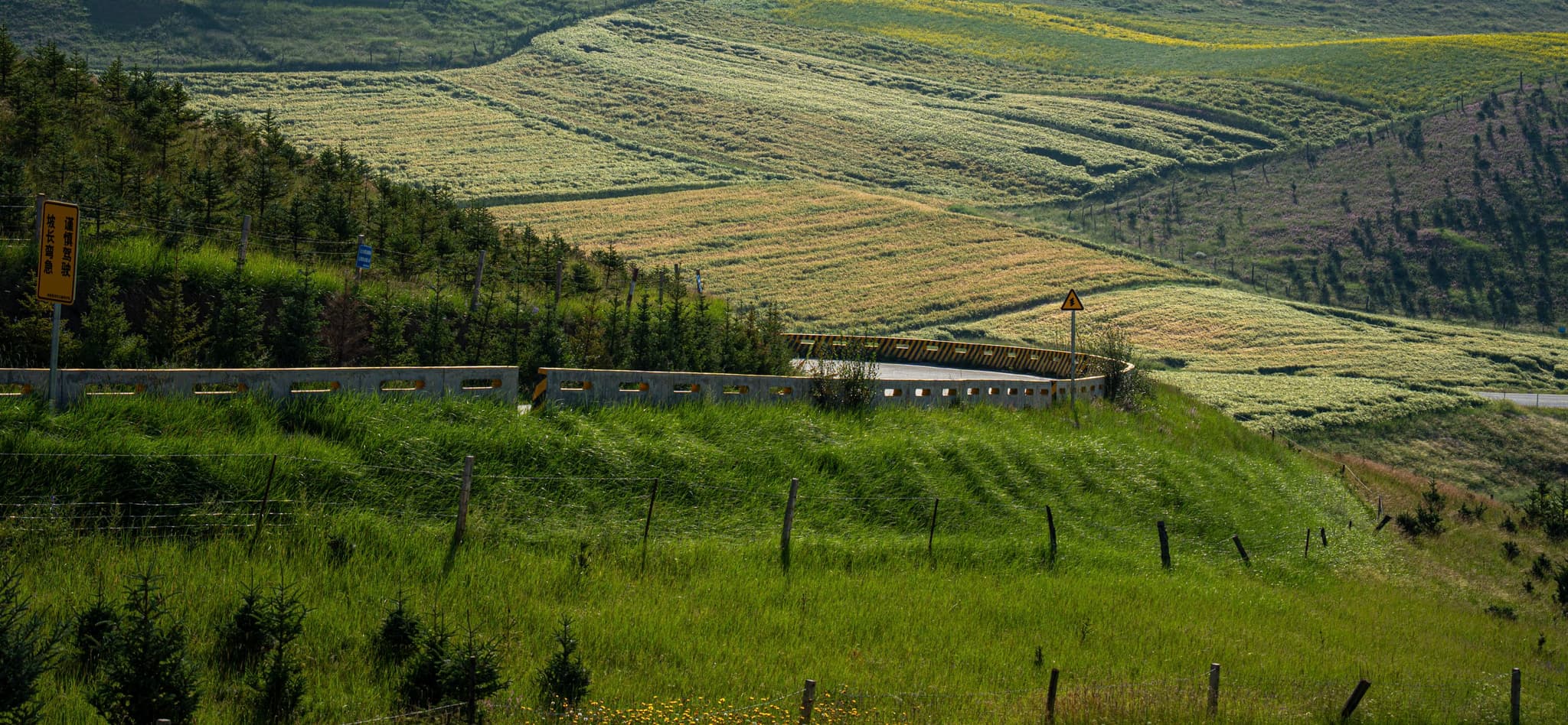 Qilian