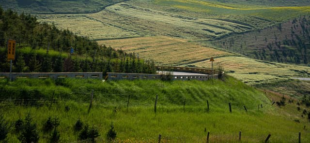 Qilian