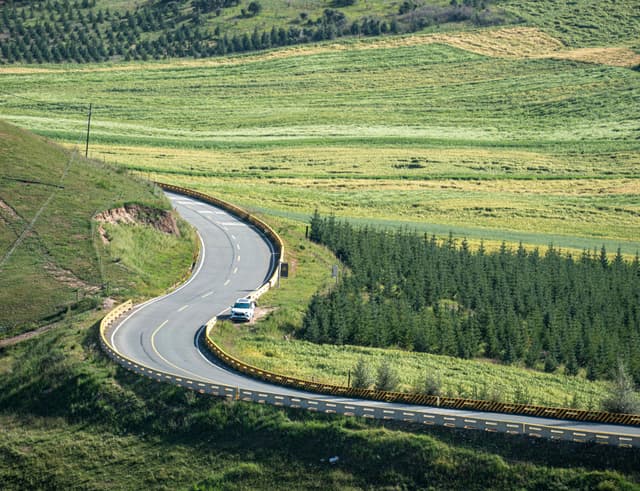 QINGHAI
